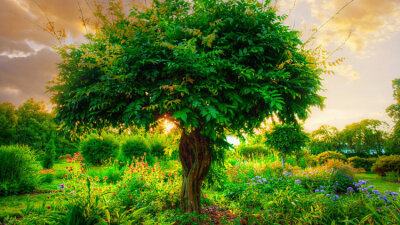 Christmas in the Beginning