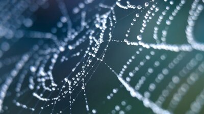 The Deep Cost of Sin