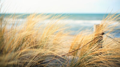 Truth and Love (Part 1 of 2)