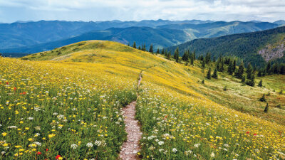 The Basics of the Christian Faith