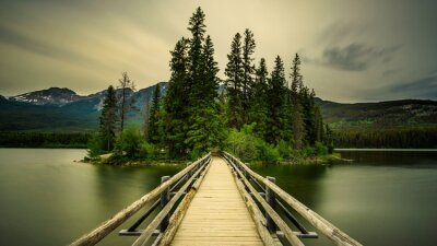 Welcome at His Table