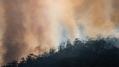 Dangers, Toils, and Snares