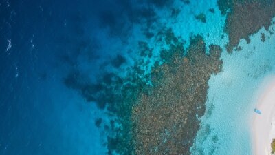 Discord and Division