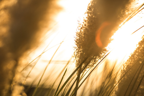 Truth For Life Stewardship